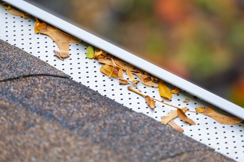 Gutter Covers with Leaf Guard